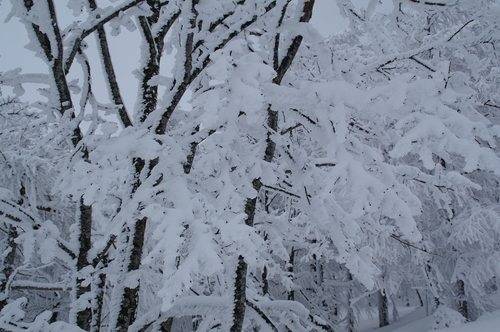 20060211_zaoskitrip_007